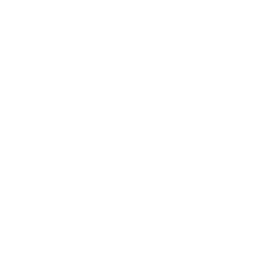 logo_ally