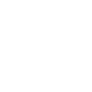 logo_american_airlines