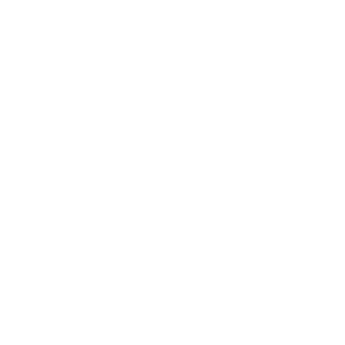 logo_united_airlines