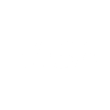 logo_visa